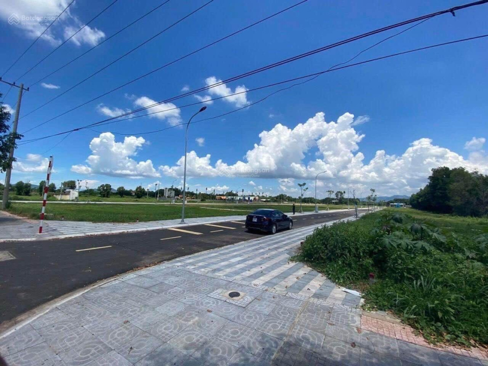3706995 ảnh đại diện 1