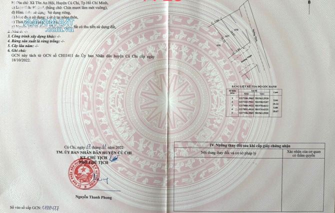3705149 ảnh đại diện 2