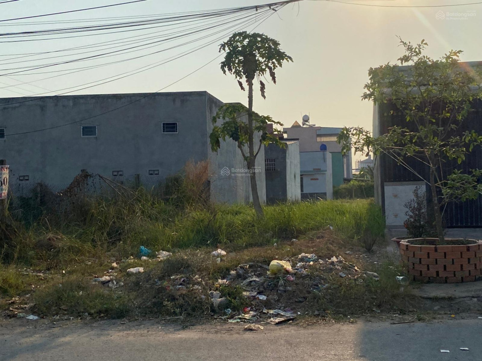 3709232 ảnh đại diện 1