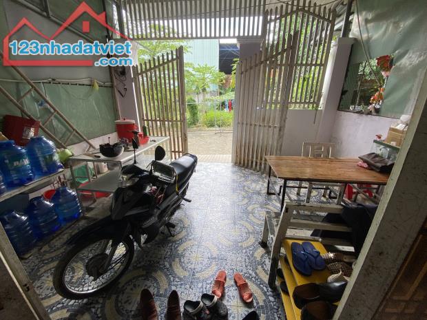 3711456 ảnh đại diện 2