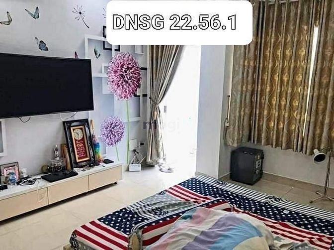 3711446 ảnh đại diện 1