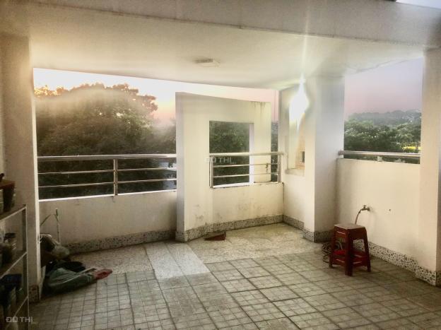 3711359 ảnh đại diện 1