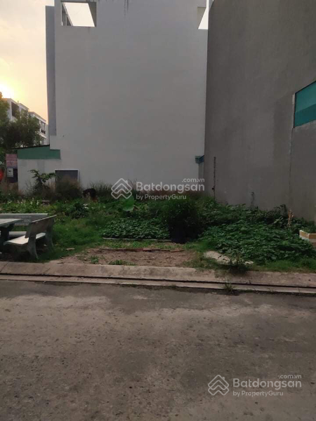 3712350 ảnh đại diện 1