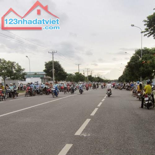 3711455 ảnh đại diện 1