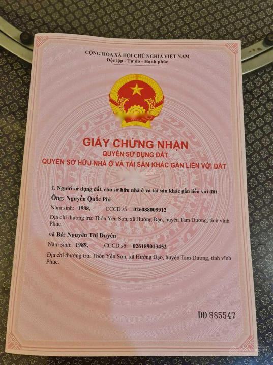 3713523 ảnh đại diện 2