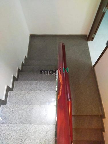 3714853 ảnh đại diện 2