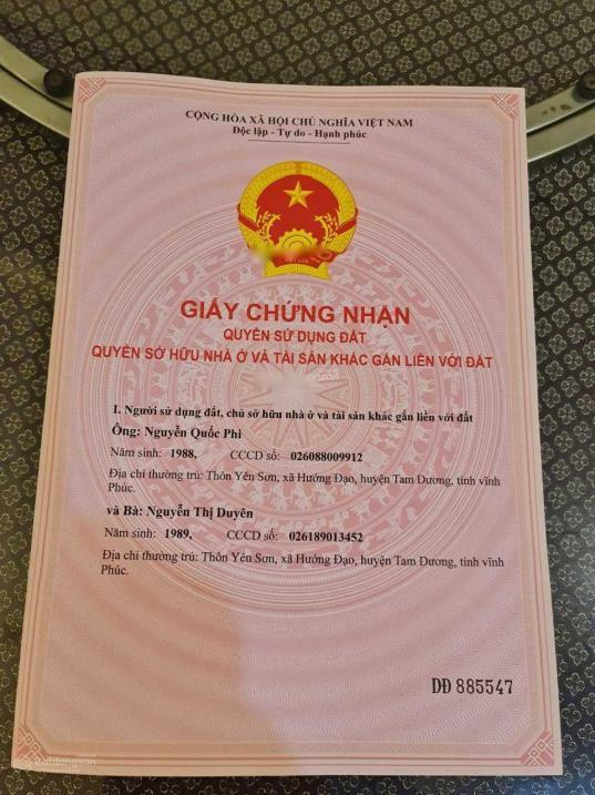 3713502 ảnh đại diện 1