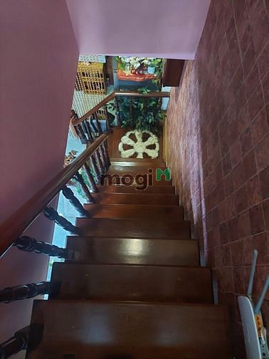 3714852 ảnh đại diện 2