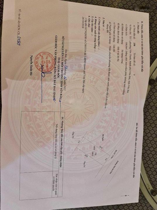 3713502 ảnh đại diện 1