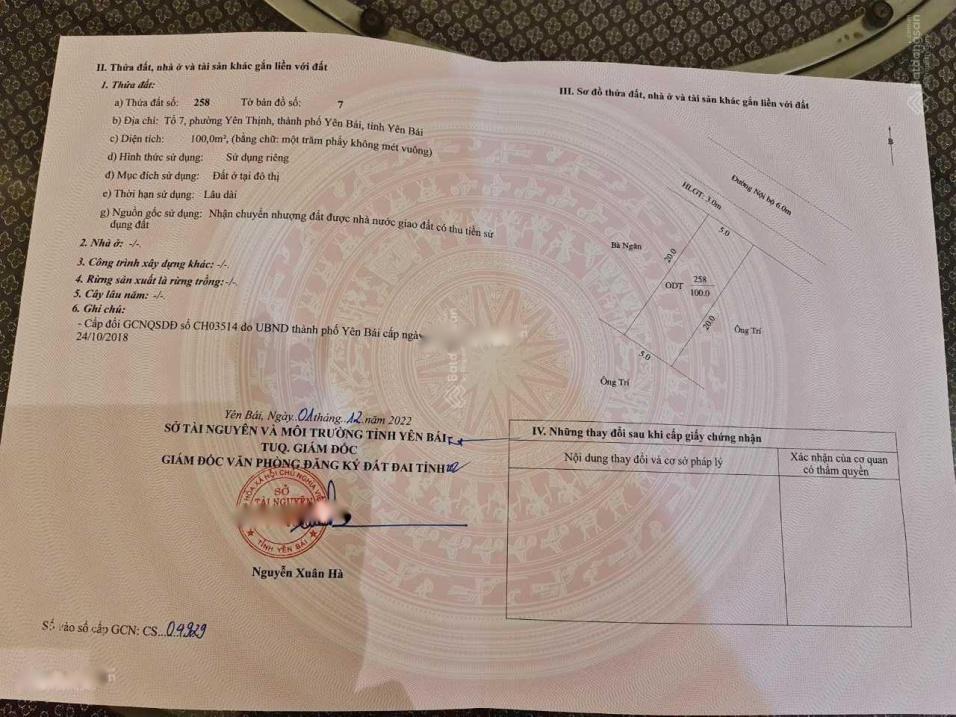 3713523 ảnh đại diện 1