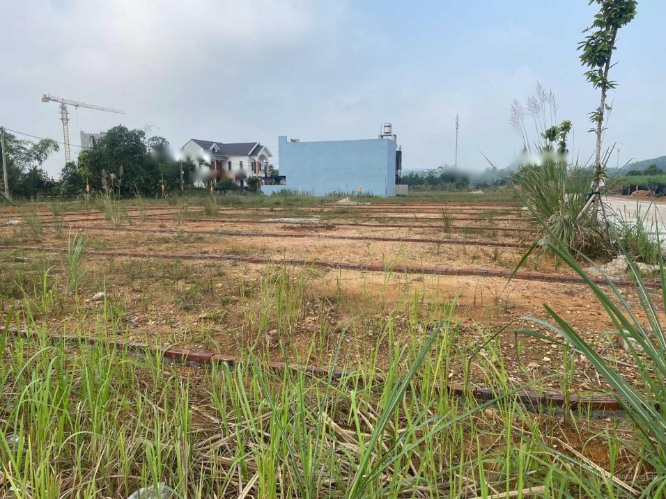 3713502 ảnh đại diện 2
