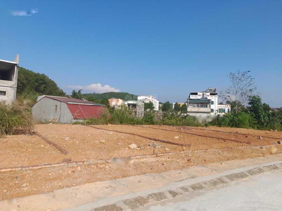 3713523 ảnh đại diện 1
