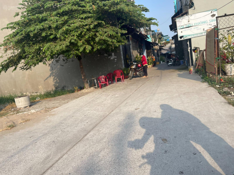 3713050 ảnh đại diện 1