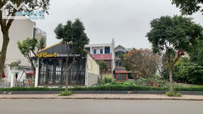 3717310 ảnh đại diện 2