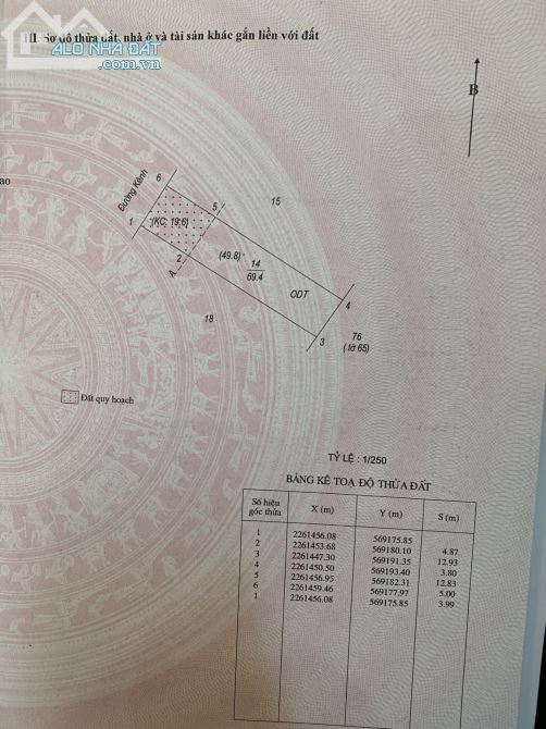3717310 ảnh đại diện 1