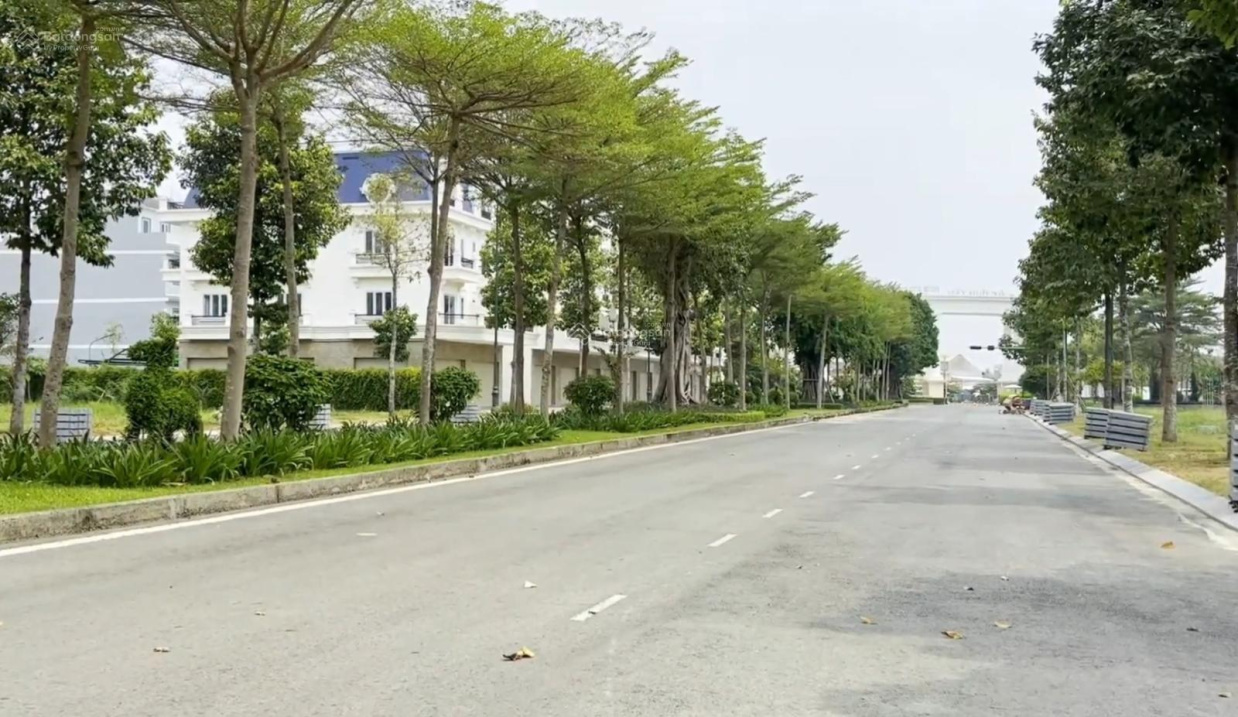3719813 ảnh đại diện 2