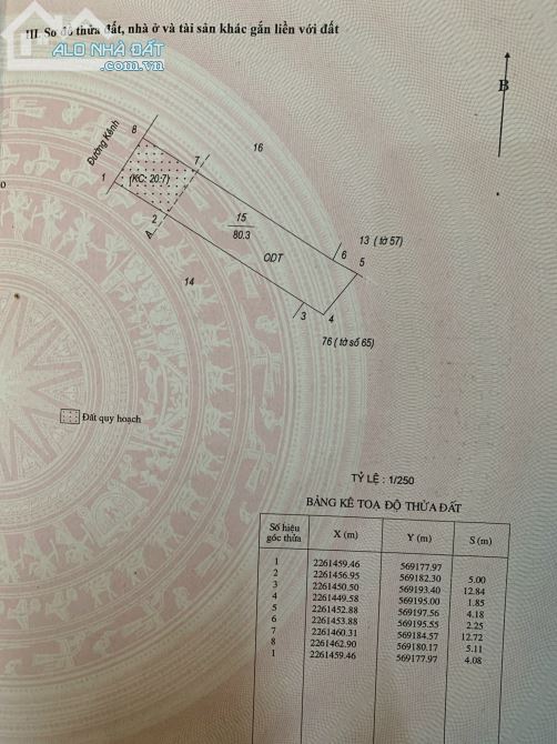 3717310 ảnh đại diện 1