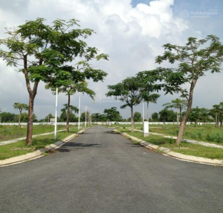 3719810 ảnh đại diện 1