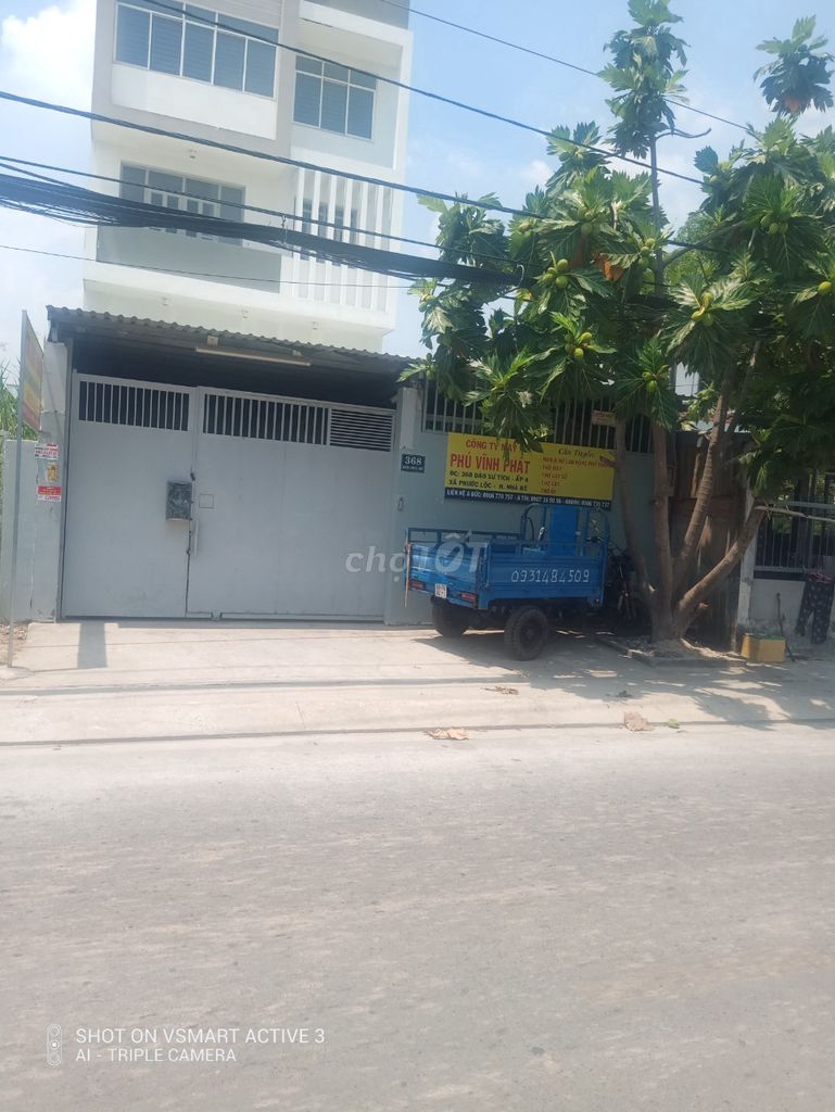 3717969 ảnh đại diện 1