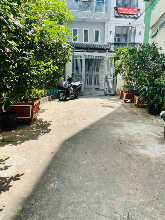 3718080 ảnh đại diện 1