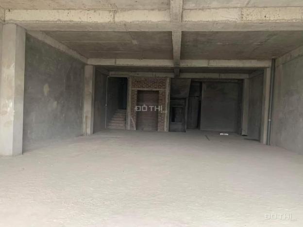 3721683 ảnh đại diện 2