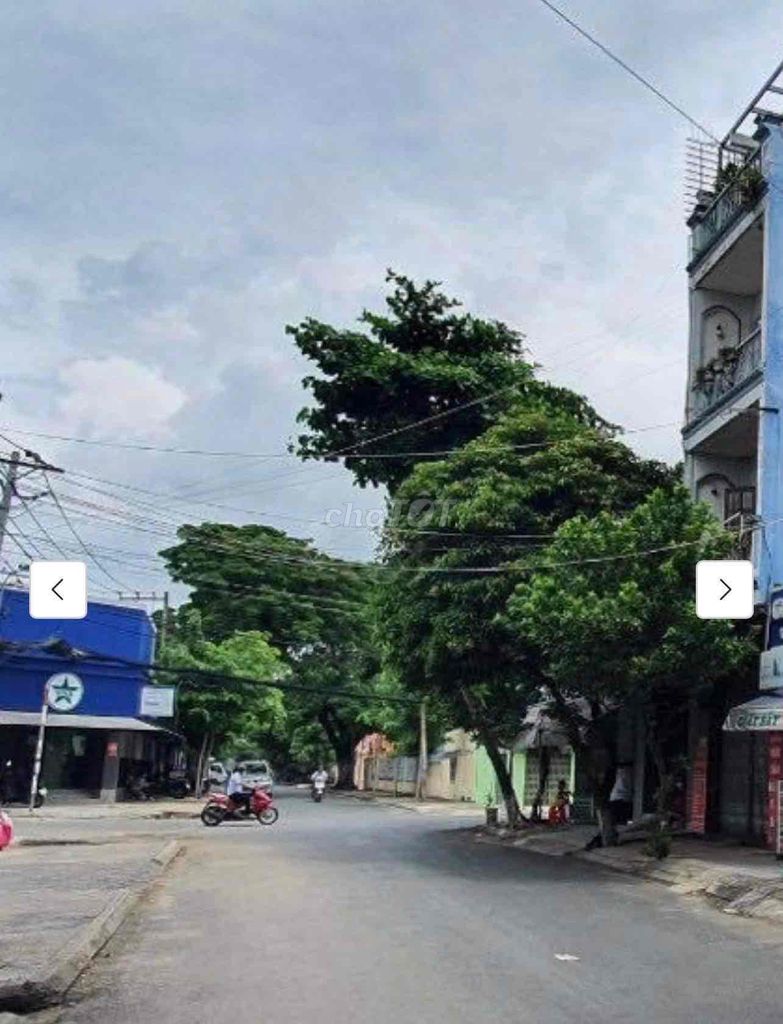 3722986 ảnh đại diện 1