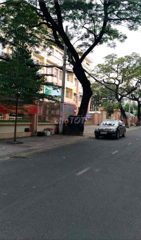 3722986 ảnh đại diện 2