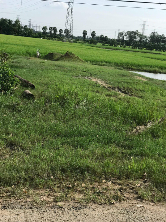 3721401 ảnh đại diện 1