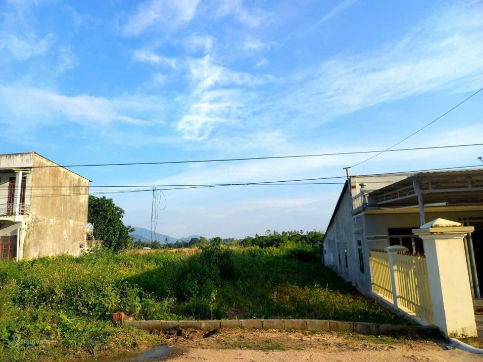 3723517 ảnh đại diện 1