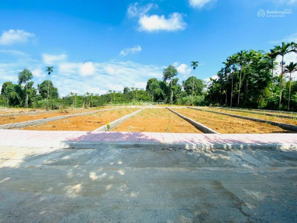 3727784 ảnh đại diện 2