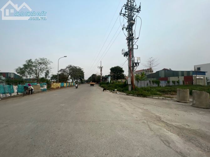 3725436 ảnh đại diện 1