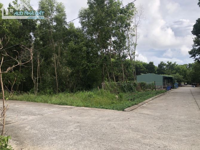 3725585 ảnh đại diện 1