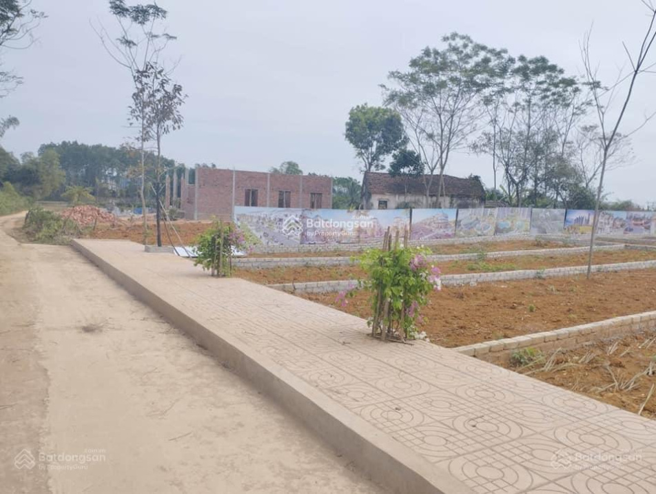 3727784 ảnh đại diện 1
