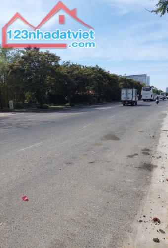 3726718 ảnh đại diện 2