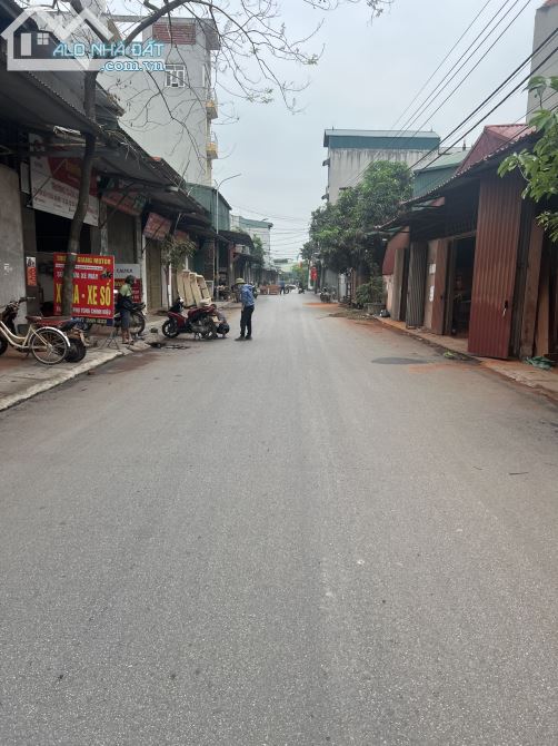 3725436 ảnh đại diện 2