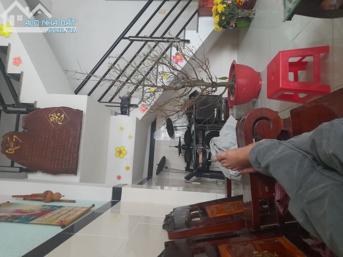 3748979 ảnh đại diện 1