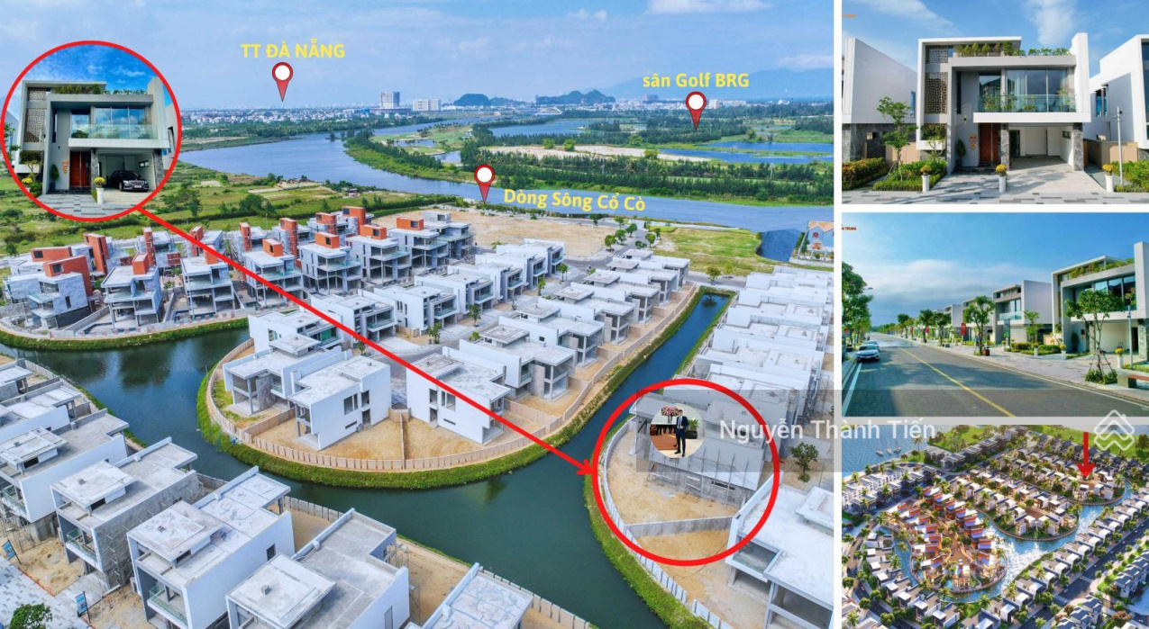 3741223 ảnh đại diện 1