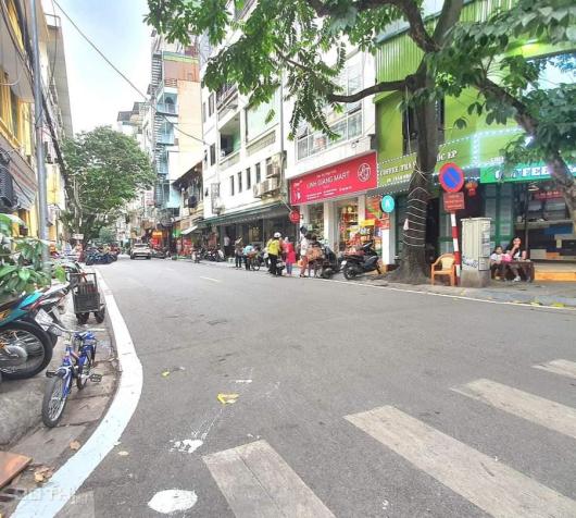 3736164 ảnh đại diện 1