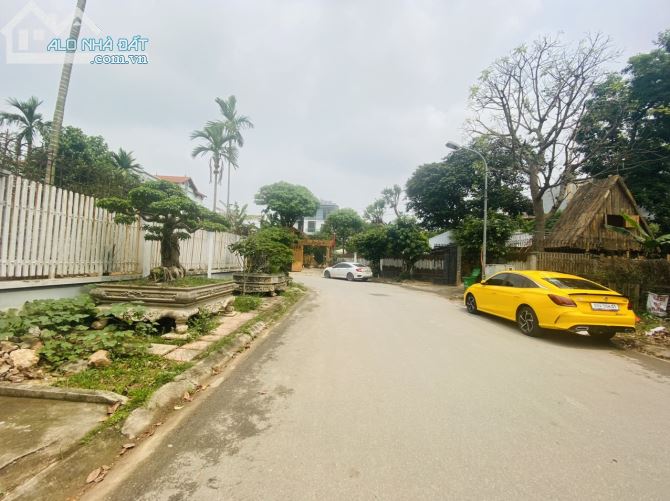 3749964 ảnh đại diện 2