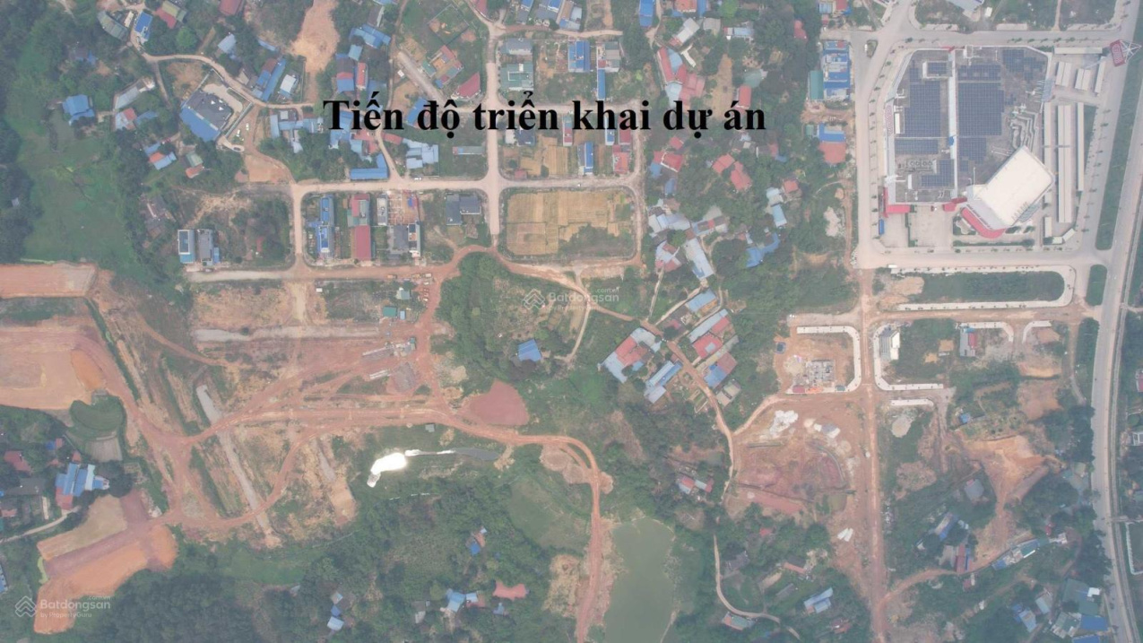 3747836 ảnh đại diện 1
