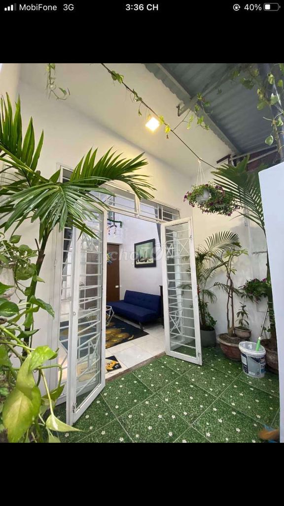 3754068 ảnh đại diện 2