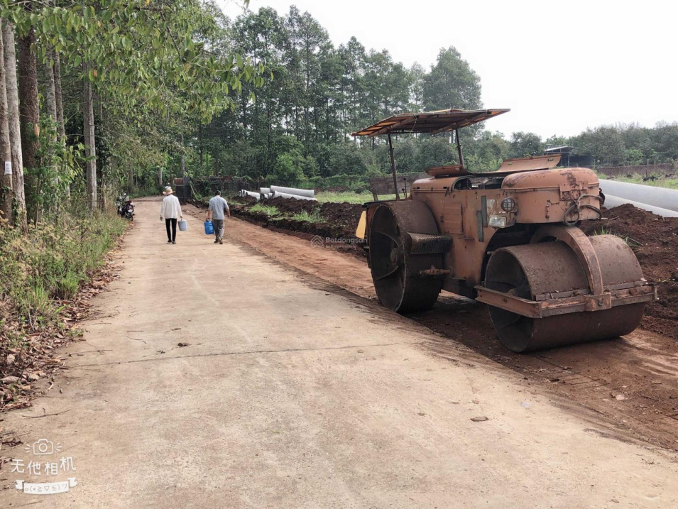 3748931 ảnh đại diện 1