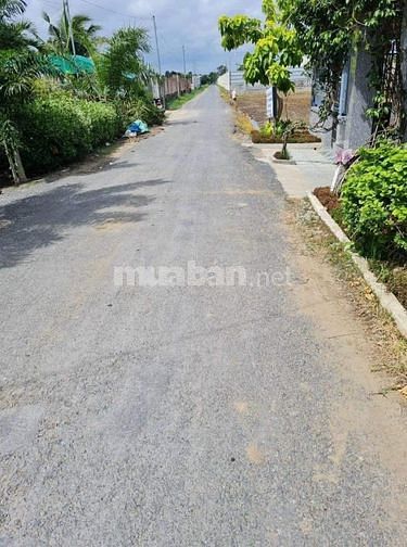 3757278 ảnh đại diện 1