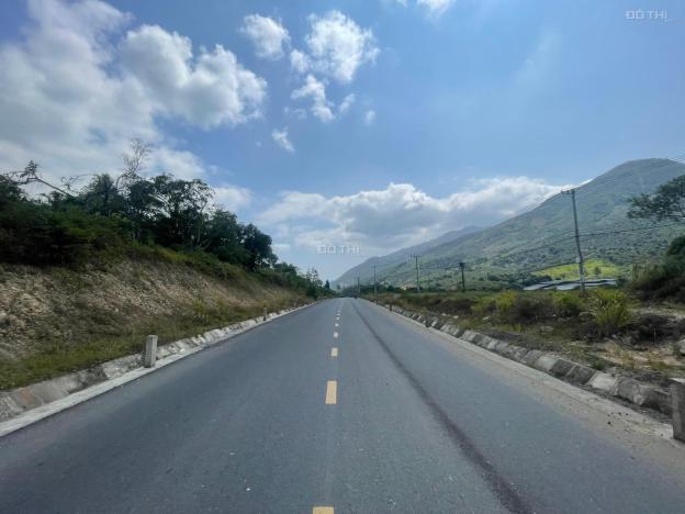 3737999 ảnh đại diện 1
