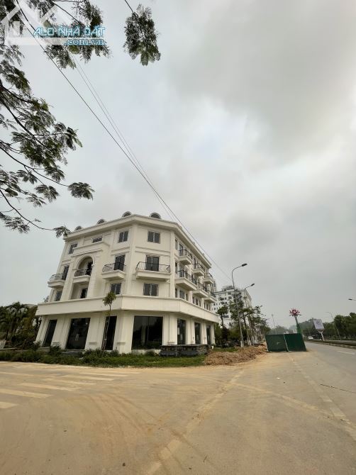 3749965 ảnh đại diện 2