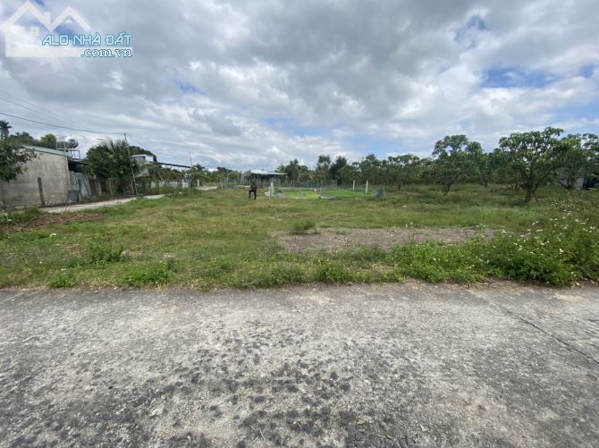3737660 ảnh đại diện 1
