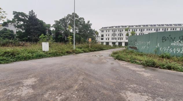 3731522 ảnh đại diện 1