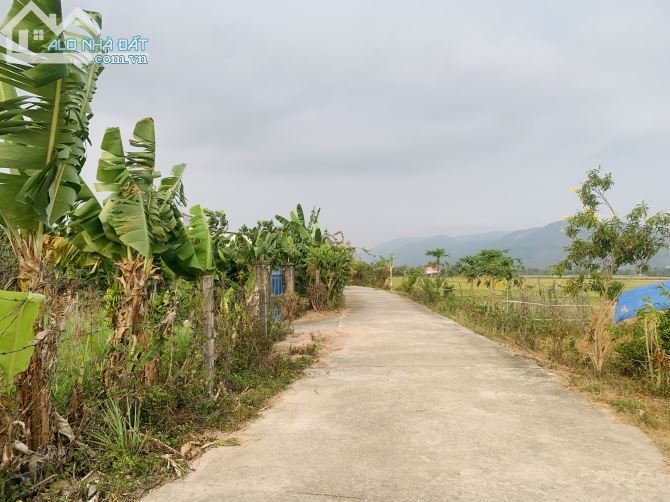 3737674 ảnh đại diện 2