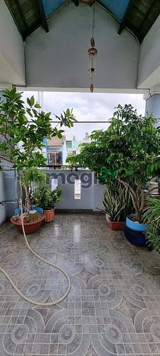 3744270 ảnh đại diện 1