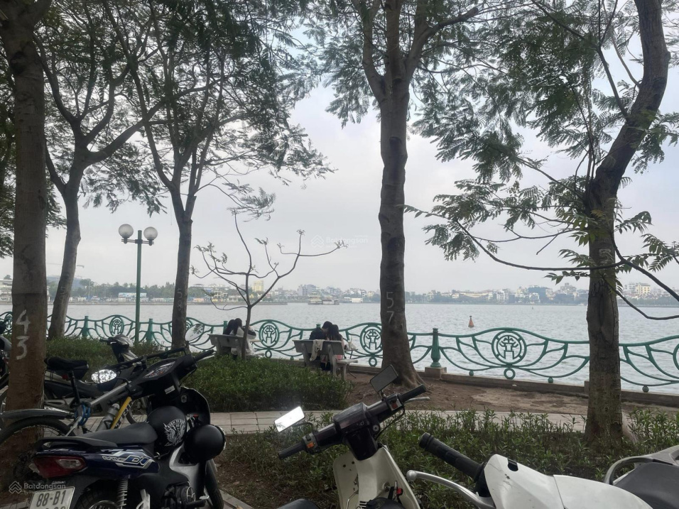 3747672 ảnh đại diện 1